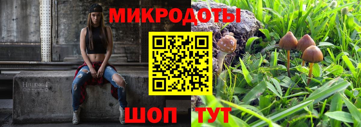 Галлюциногенные грибы GOLDEN TEACHER  Вход с VPN  Великий Устюг 