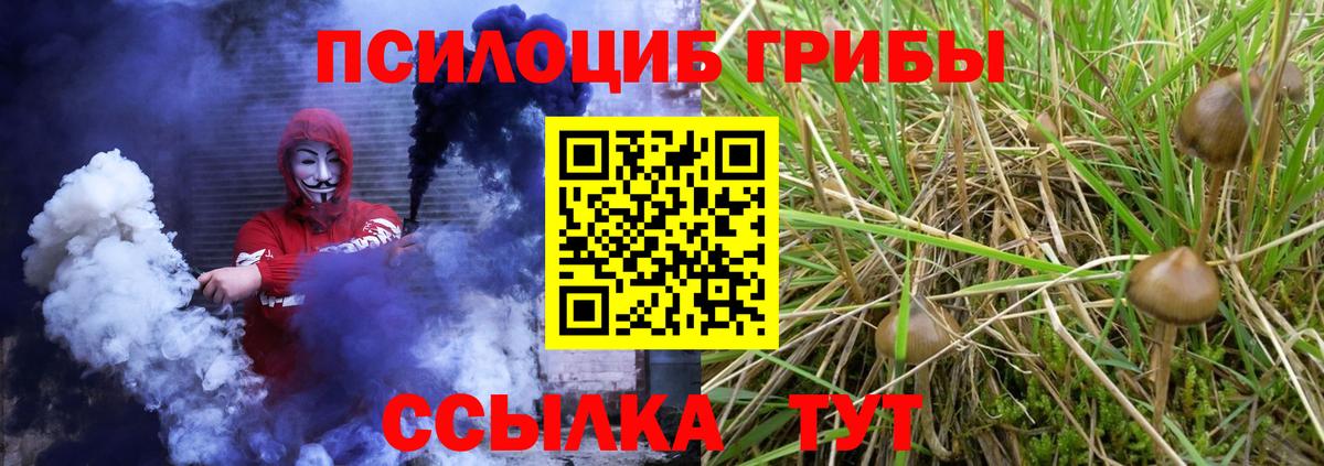 Галлюциногенные грибы ЛСД Великий Устюг